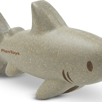 Shark