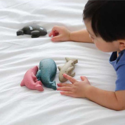 Dolphin