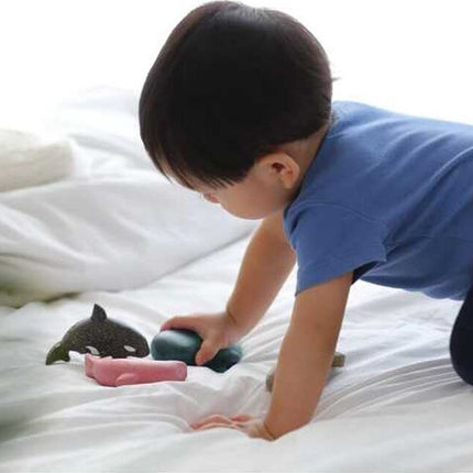 Dolphin