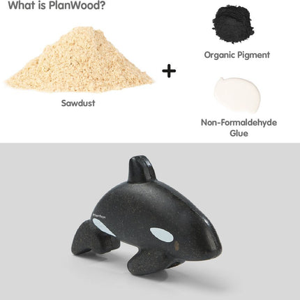 Orca