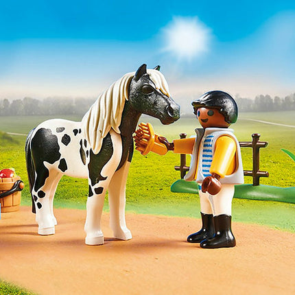 Collectible Lewitzer Pony