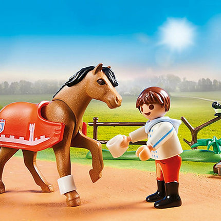 Collectible Connemara Pony