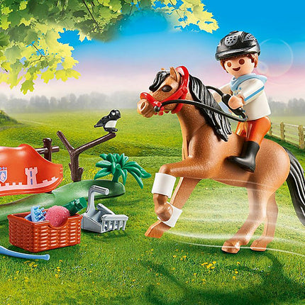 Collectible Connemara Pony
