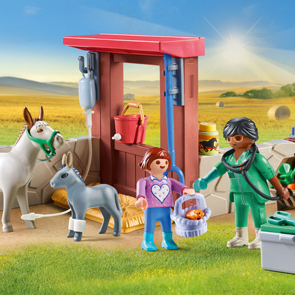 Veterinary mission with the donkeys