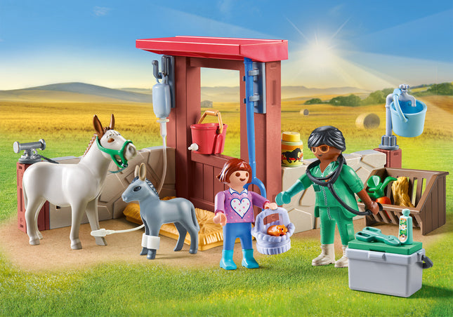 Veterinary mission with the donkeys