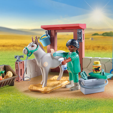 Veterinary mission with the donkeys