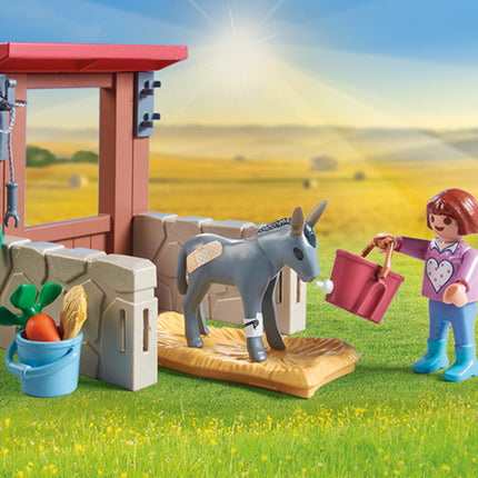 Veterinary mission with the donkeys