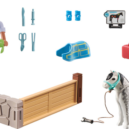 Playmobil Horse therapist