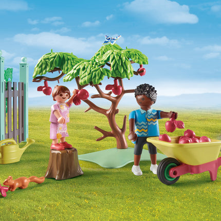Playmobil Small Chicken Farm