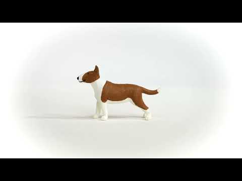 Bull Terrier