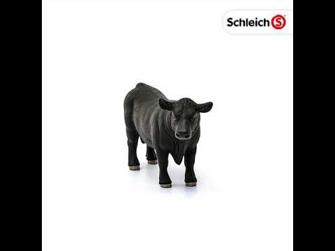 SCL Black Angus Bull