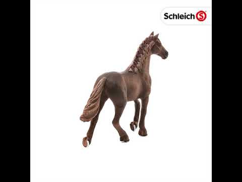 SCL English Thoroughbred Mare