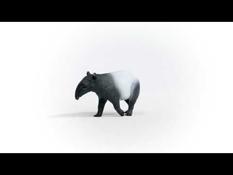 Tapir