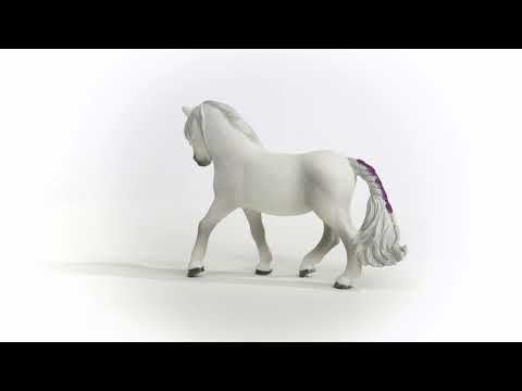 SCL Icelandic Pony Mare