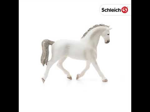 SCL Holsteiner Mare