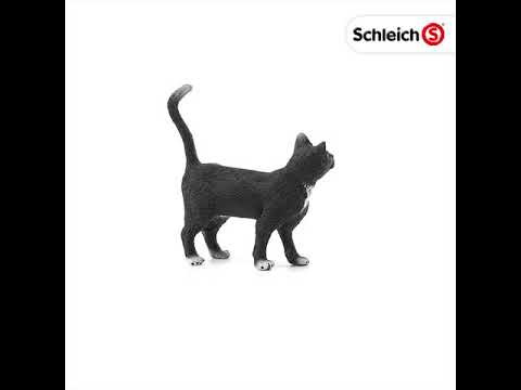 Cat Standing