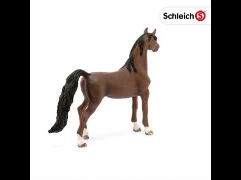 SCL American Saddlebred Gelding