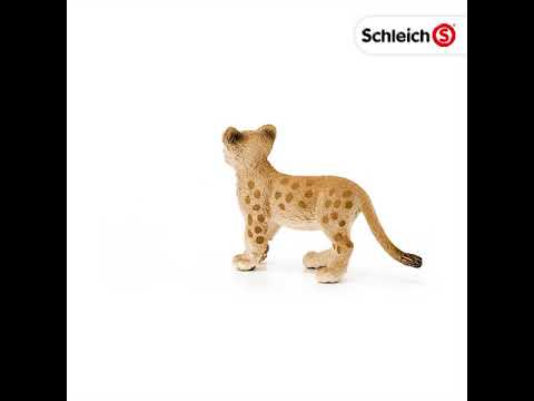 SCL Lion Cub
