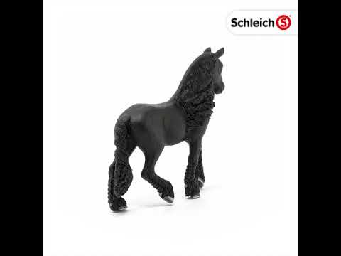 SCL Friesian Mare