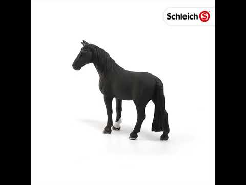 SCL Tennessee Walker Gelding
