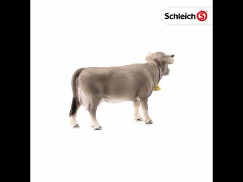 SCL Braunvieh Cow