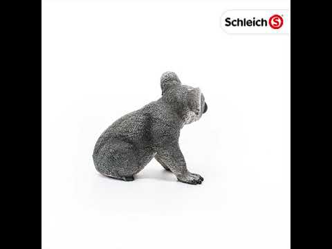 SCL Koala