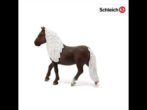 SCL Black Forest Mare
