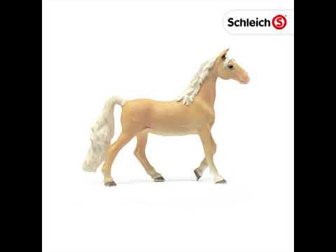 SCL American Saddlebred Mare