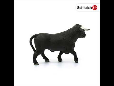 SCL Black Bull