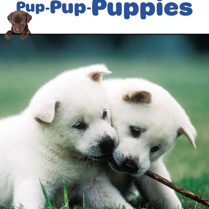 Pup-Pup-Puppies