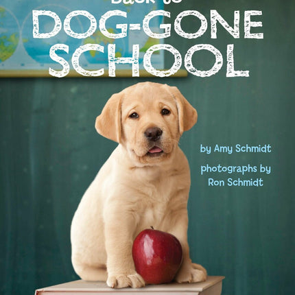 Back to Dog-Gone School