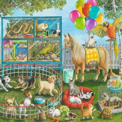 Pet Fair Fun