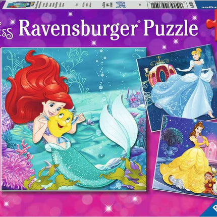 Disney Princess Adventure