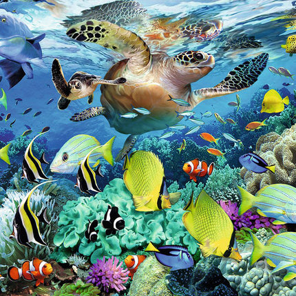 Underwater Paradise
