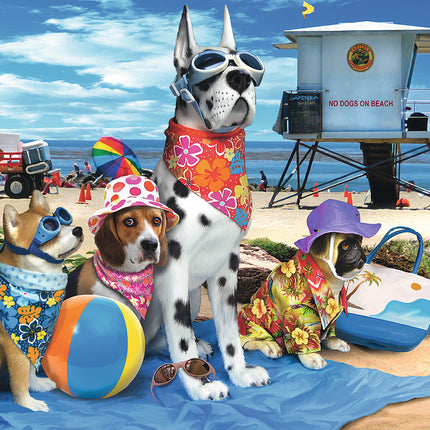 No Dogs at the Beach