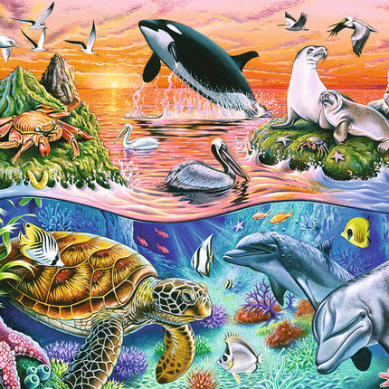 Beautiful Ocean