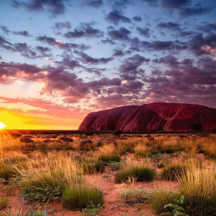 Ayers Rock, Australia Puzzle (1000 pc)