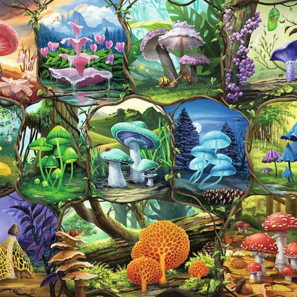 Beautiful Mushrooms