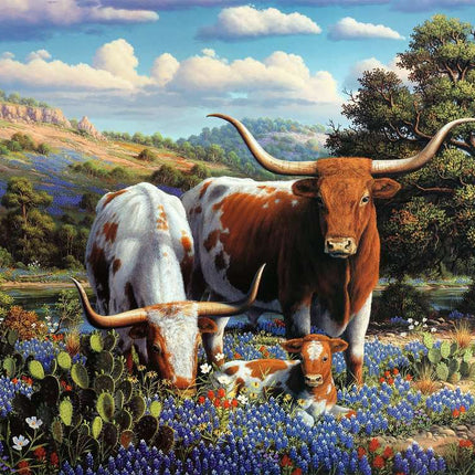 Loving Longhorns