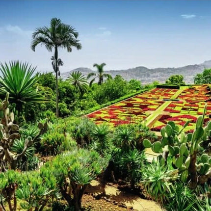 Botanical Garden Madeira 1000 Piece Puzzle