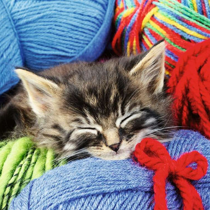 Wool Cat Puzzle (100 pc)