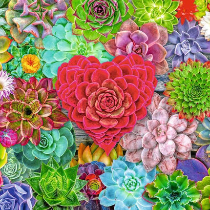 Succulent Love 500 Pc Puzzle