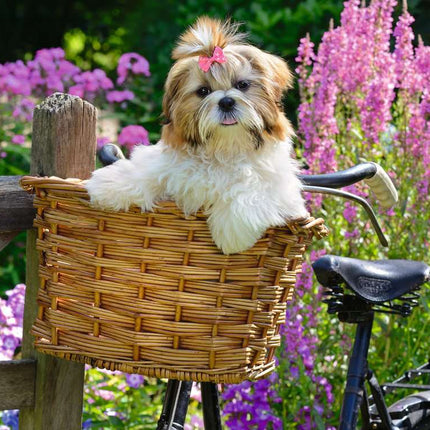 Sweet Little Dog 100 Pc Puzzle