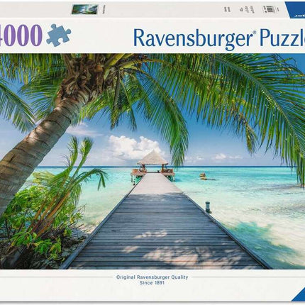 Dream Beach on the Maledives 4000 Pc