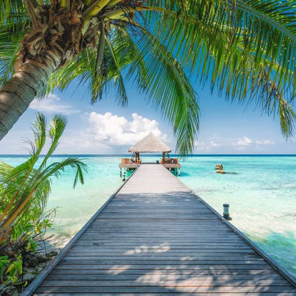 Dream Beach on the Maledives 4000 Pc