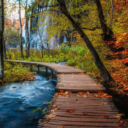 Autumnal Wooden Trail 1000 Pc Puzzle