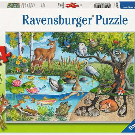 Animals Above and Below 60 Pc Puzzle