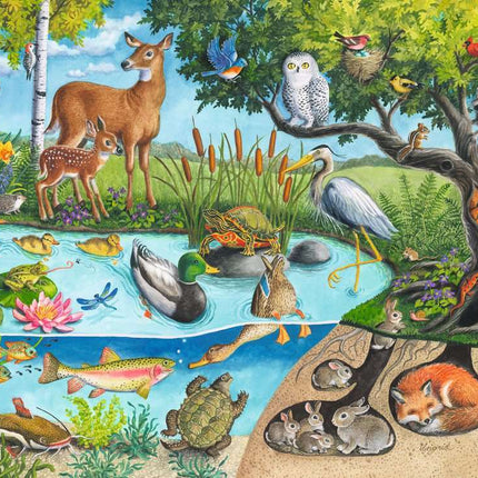 Animals Above and Below 60 Pc Puzzle