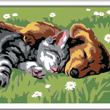 CreArt:Sleeping Cat and Dog 5x7