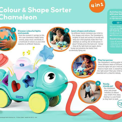 Color & Shape Sorter: Chameleon*